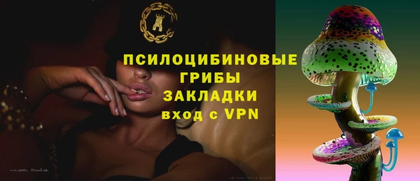 мяу мяу мука Инсар