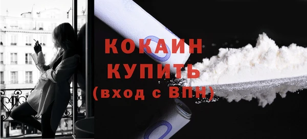 PSILOCYBIN Киренск