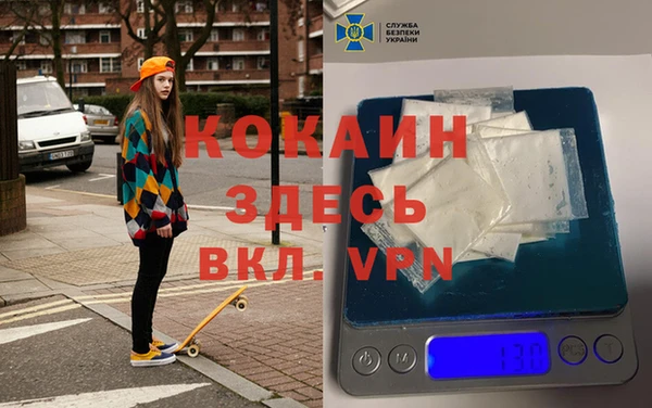 мяу мяу мука Инсар