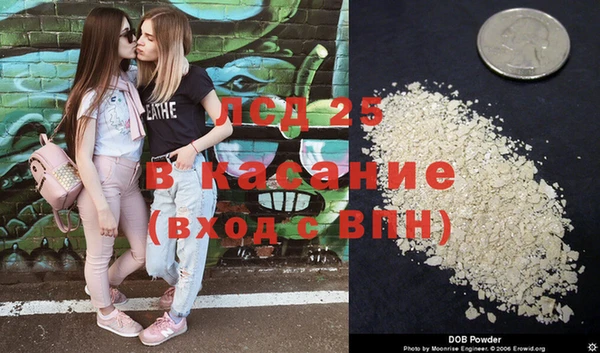 мяу мяу мука Инсар