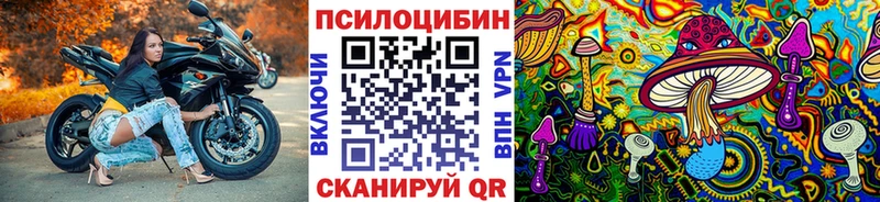 закладки  Кашира  Галлюциногенные грибы GOLDEN TEACHER 