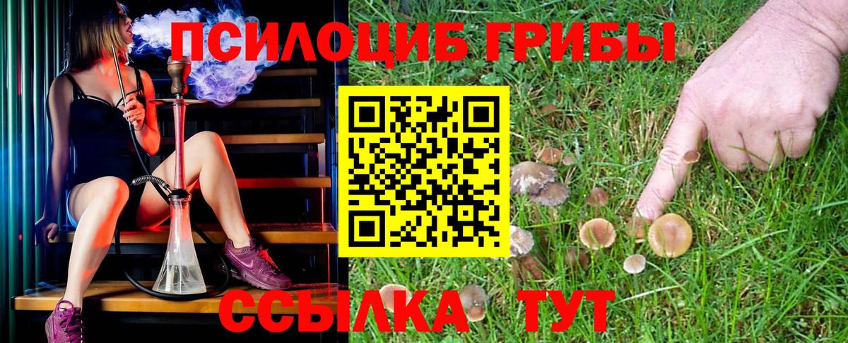 Галлюциногенные грибы Magic Shrooms Кашира