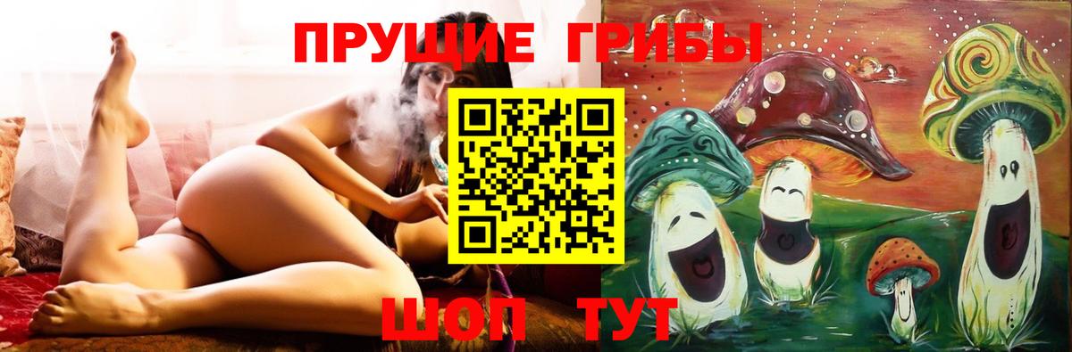 Псилоцибиновые грибы прущие грибы Кашира