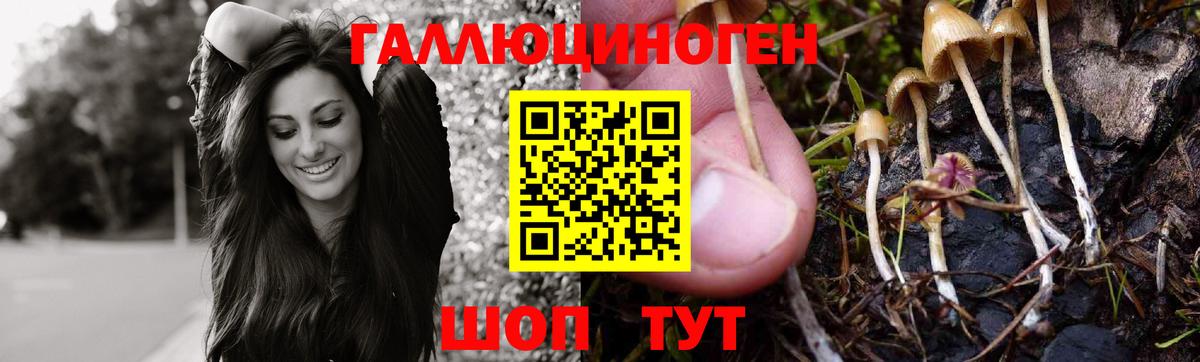 КОКАИН  Кашира  СОЛЬ CK  Вход с VPN  Хэш  МЕФ  Кодеин  Канабис  ГАШ  Каннабис 